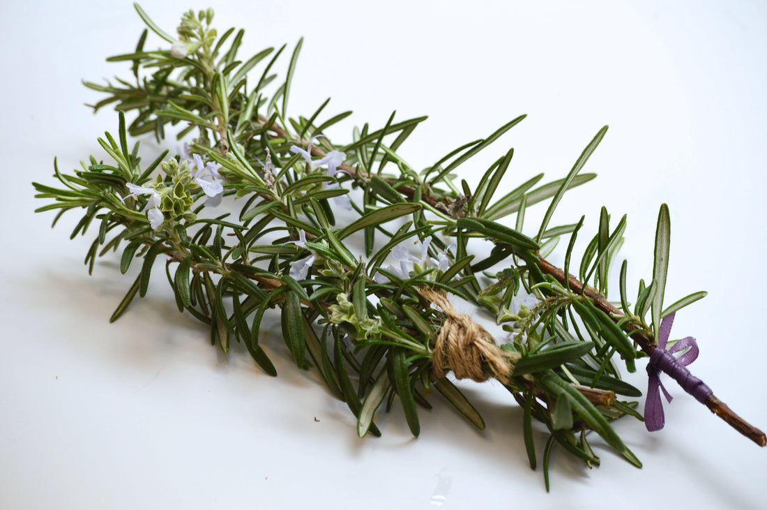 Herbs for Hair Growth