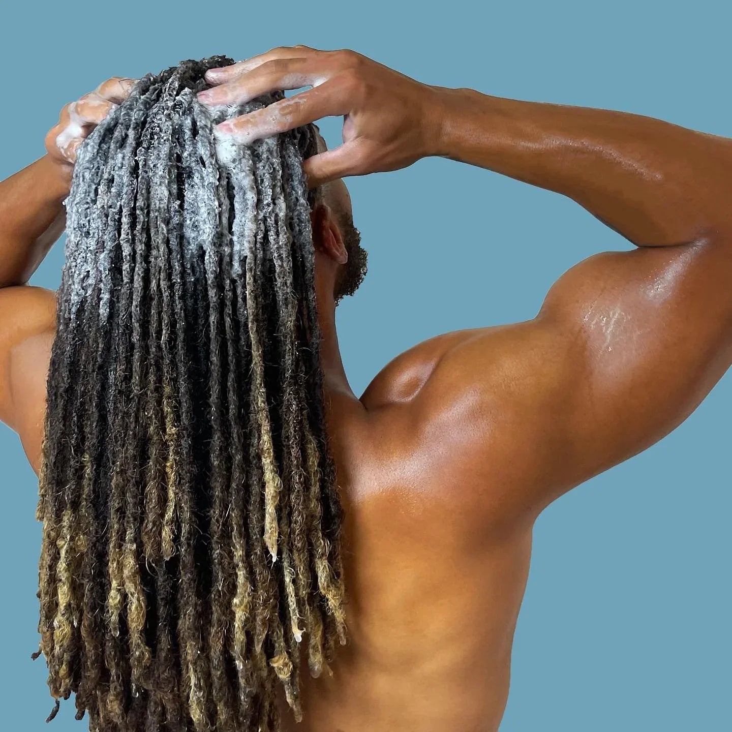 Locs Conditioner